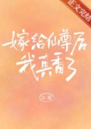 �޸��������������