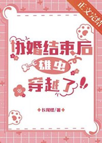 Э������������۳洩Խ��